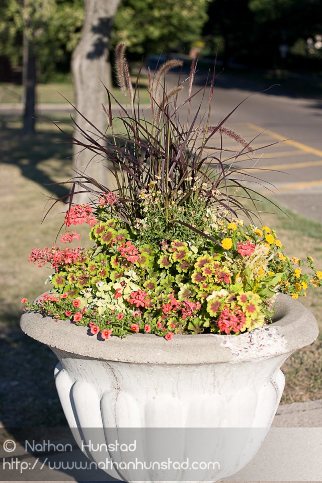 Summit_Avenue_2008-08-24_IMG_1568